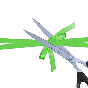 Amazon.com: ALLEX Giant Scissors 10-1/4